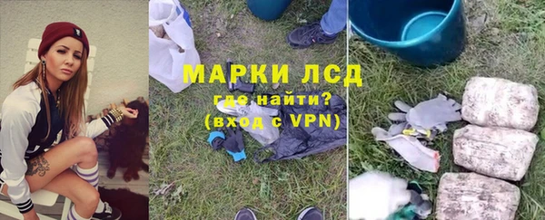 стаф Баксан