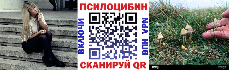 Галлюциногенные грибы Magic Shrooms  наркотики  Новый Оскол 